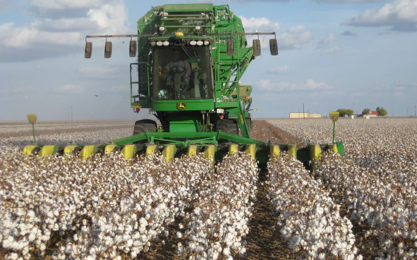 2K Quad HD PC desktop wallpaper showing a green John Deere harvesting vehicle, front view, cutting rows of cotton across a field under a blue sky.