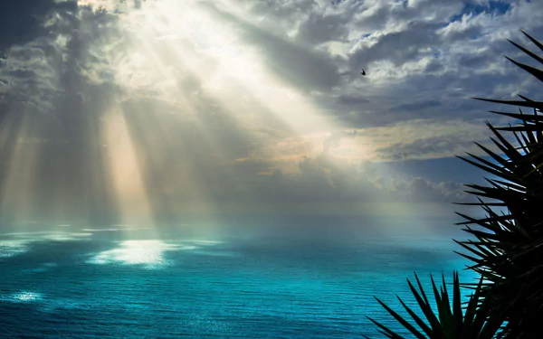 A 4K Ultra HD desktop wallpaper showing sunbeams piercing through clouds over a calm sea with silhouetted foliage on the side, capturing serene natural beauty.