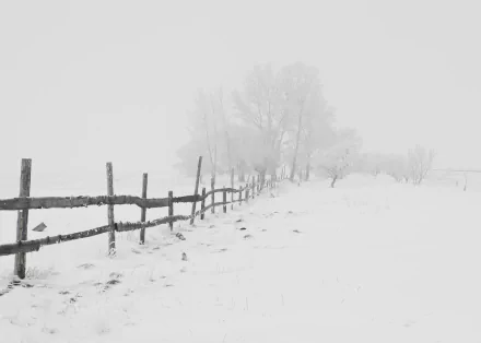 A snow-covered landscape with a wooden fence and bare trees fading into a white winter mist, captured in a high-definition nature photography wallpaper.