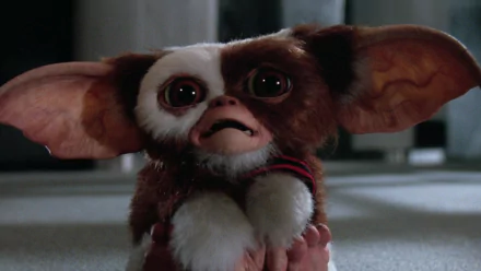 Gizmo (Gremlins) movie Gremlins 2: The New Batch HD Desktop Wallpaper | Background Image