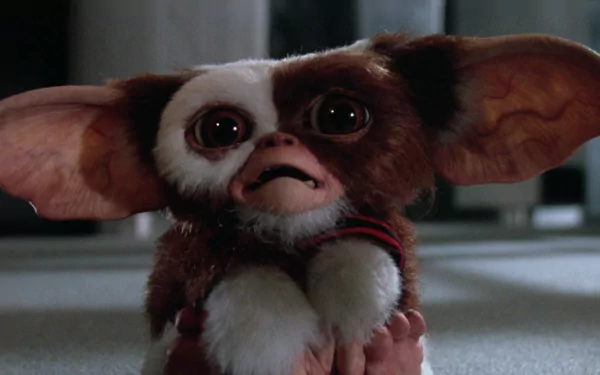 Gizmo (Gremlins) movie Gremlins 2: The New Batch HD Desktop Wallpaper | Background Image