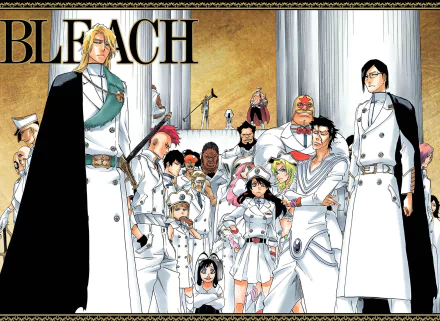HD PC wallpaper featuring Jugram Haschwalth, Uryu Ishida, and other characters from the anime Bleach, blending elements from the Bleach and One Piece universes.