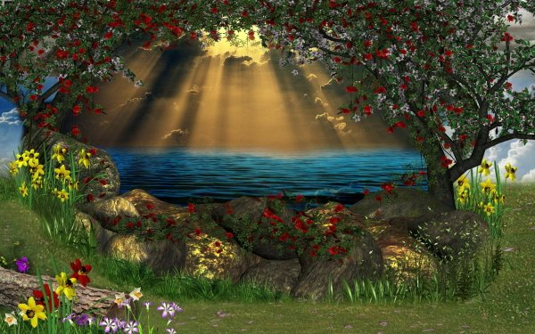 Fantasy Lake Magical Flower Daffodil Sunbeam HD Wallpaper | Background Image