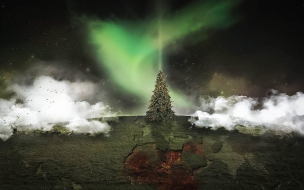 Holiday Christmas Africa Syria Wars Peace Aurora Borealis Christmas Tree HD Wallpaper | Background Image