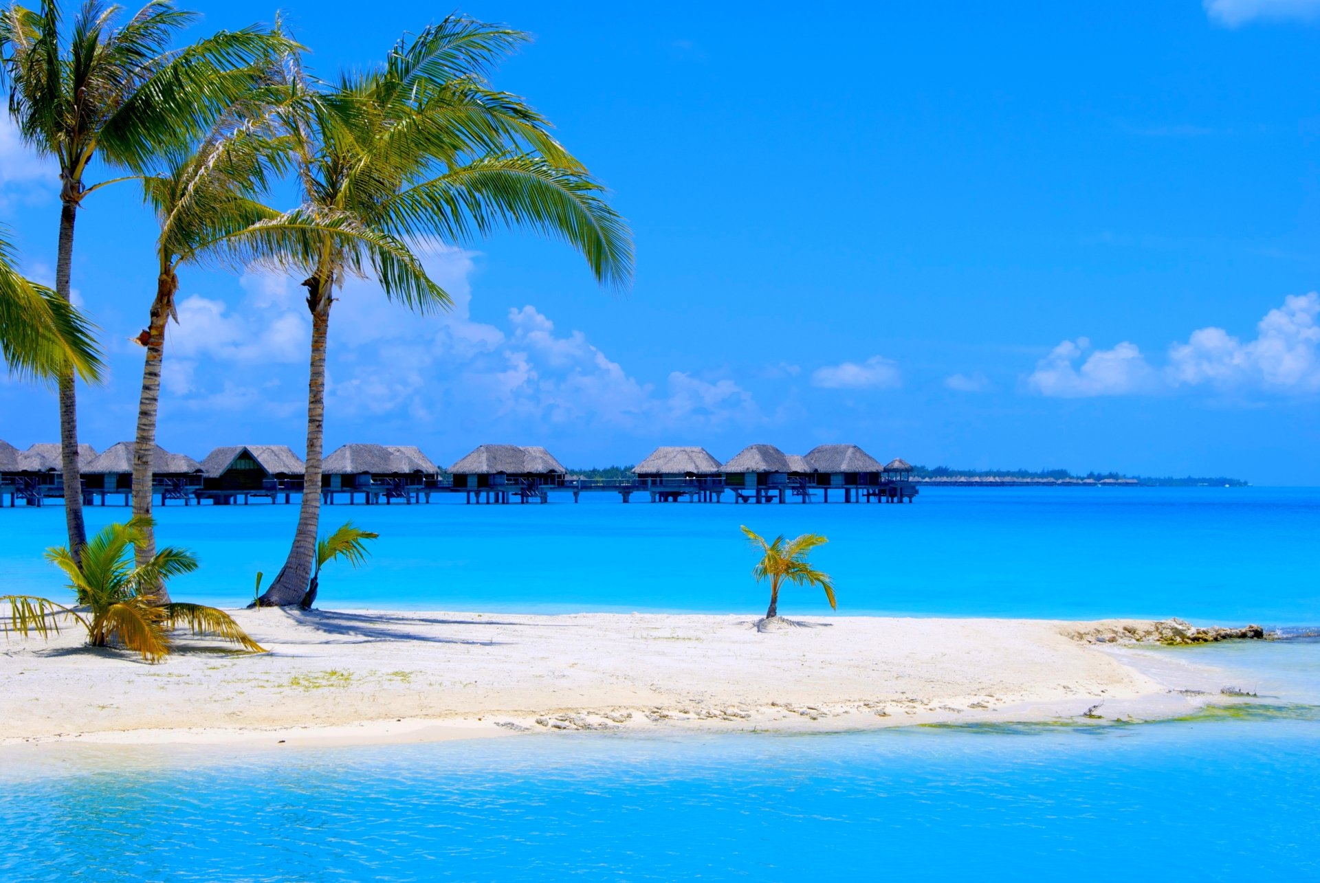 4K Ultra HD wallpaper of a tropical resort featuring turquoise ocean, white sand beach, palm trees, and overwater huts under a clear blue sky.