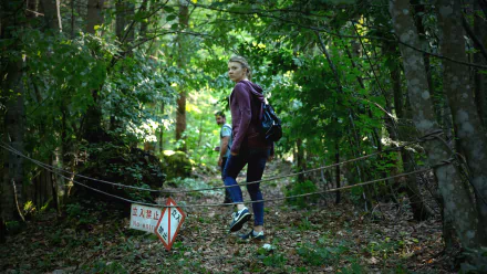 Natalie Dormer in a scene from the movie The Forest, captured in a 4K Ultra HD PC desktop wallpaper with a dense, green woodland background.