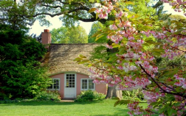 Man Made Cottage House Spring Pink HD Wallpaper | Background Image