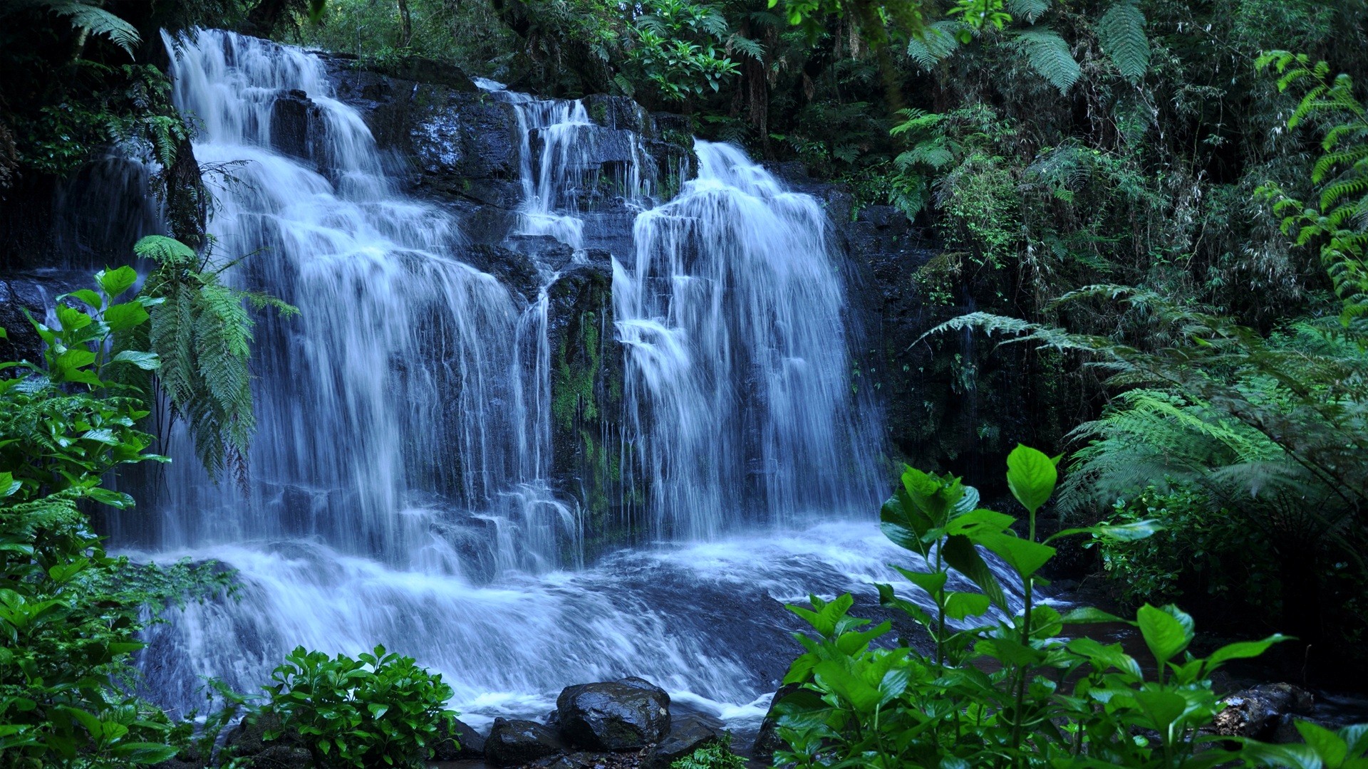 Download Forest Nature Waterfall HD Wallpaper