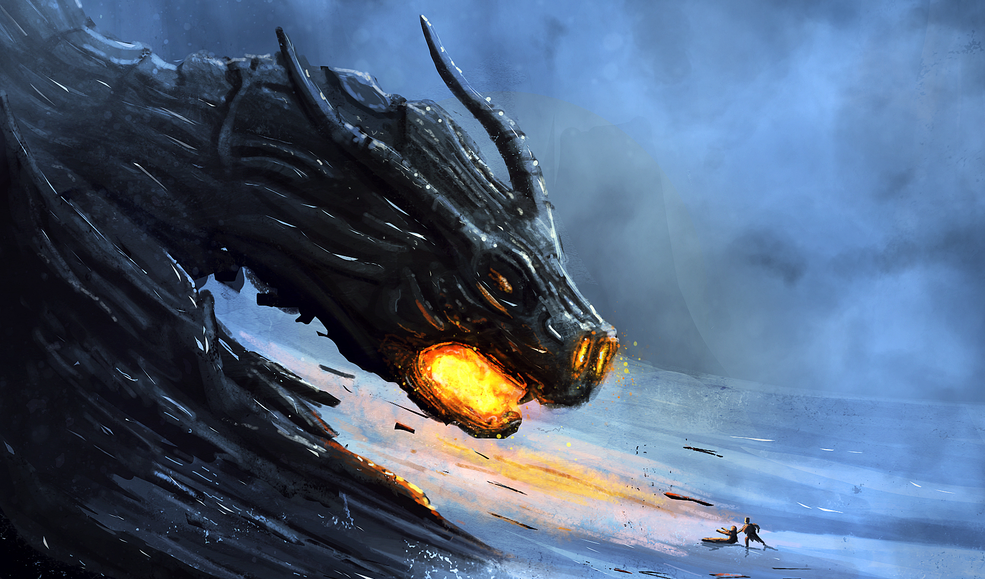Dragon fury in the snow by Leon Tukker