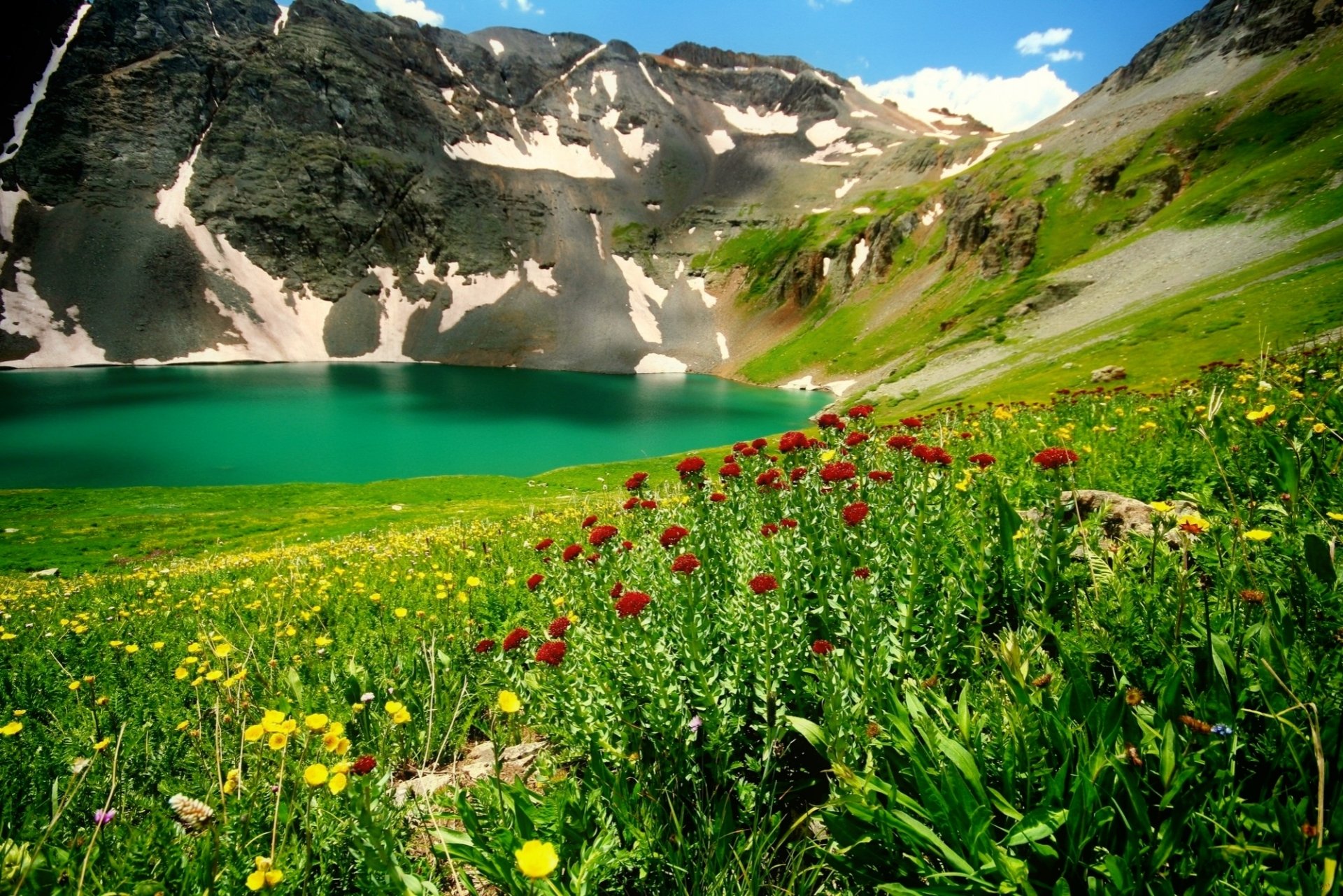 горная речка горы цветы скачать