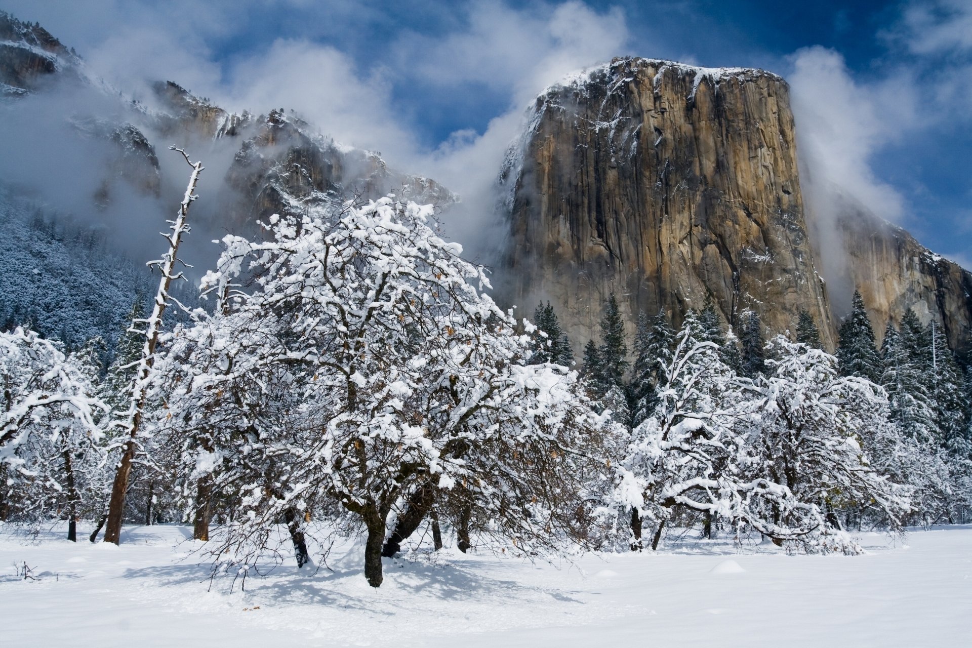 El Capitan Yosemite National Park Full Hd Wallpaper And Background