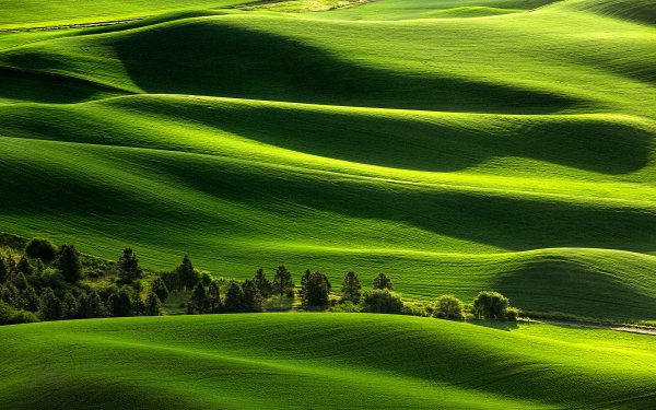 Earth Landscape Field Nature Hill Green HD Wallpaper | Background Image