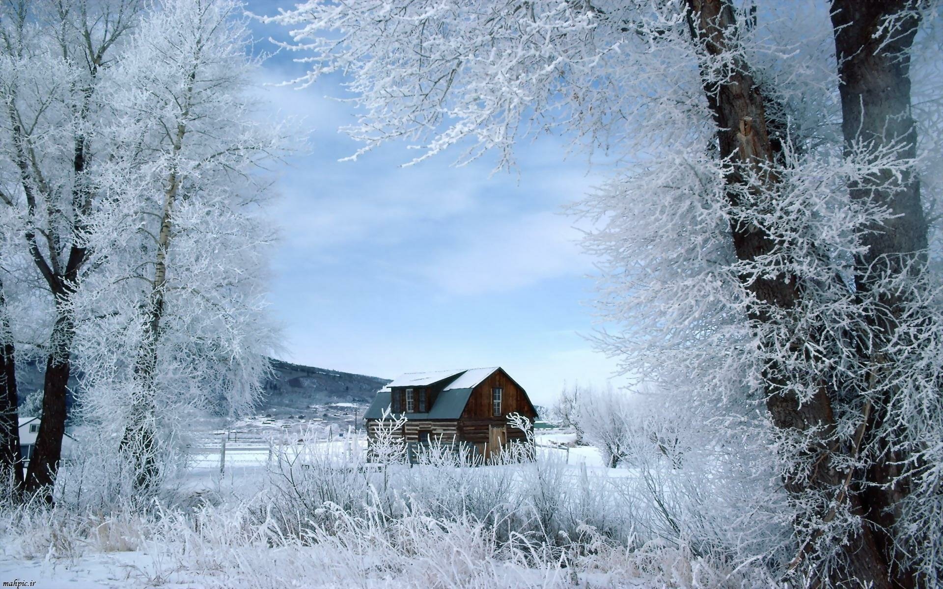 A serene winter landscape showcases a wooden house amidst a snowy field, framed by frosted trees against a tranquil blue sky, creating a stunning HD wallpaper.
