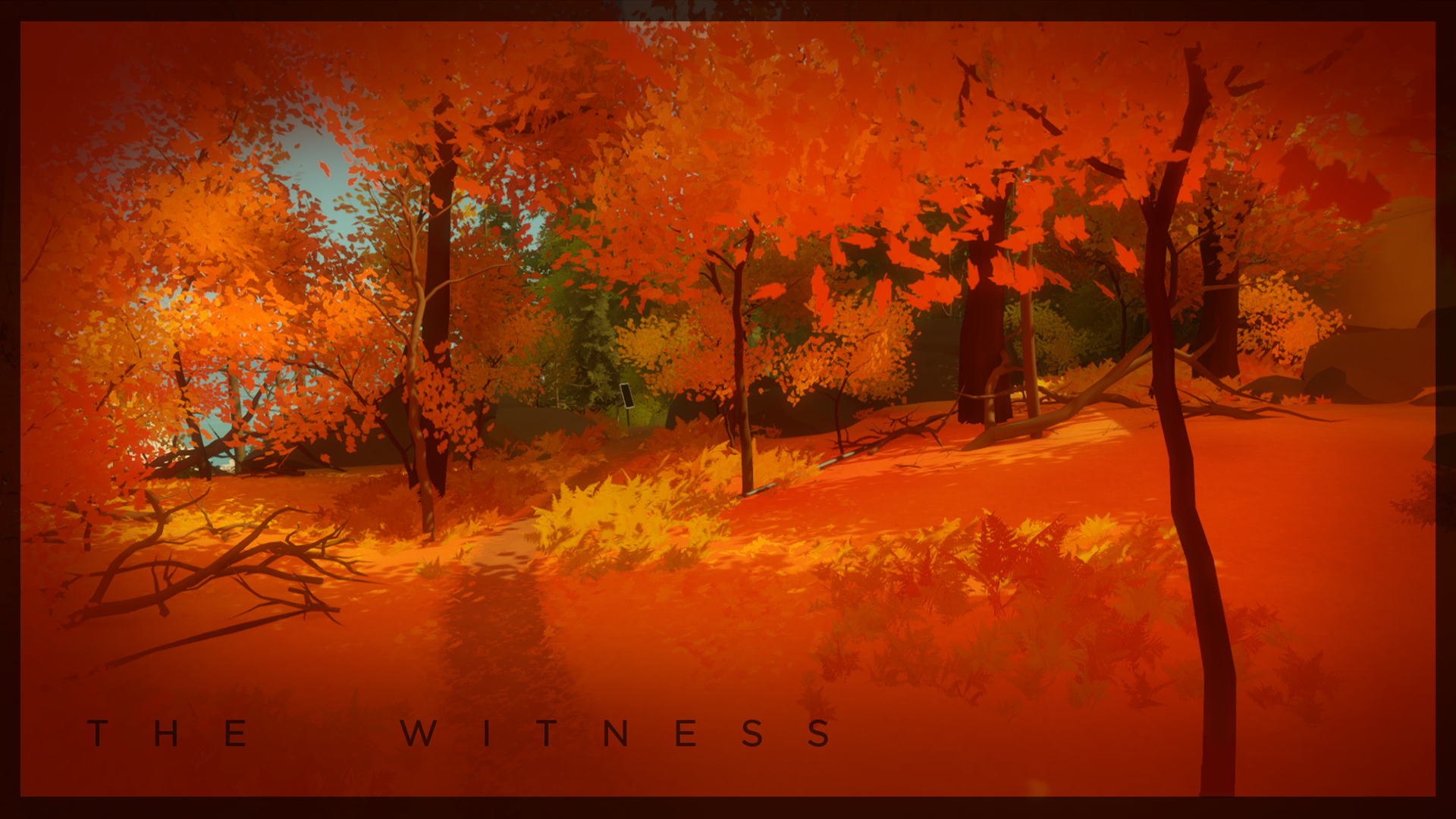 The witness обои