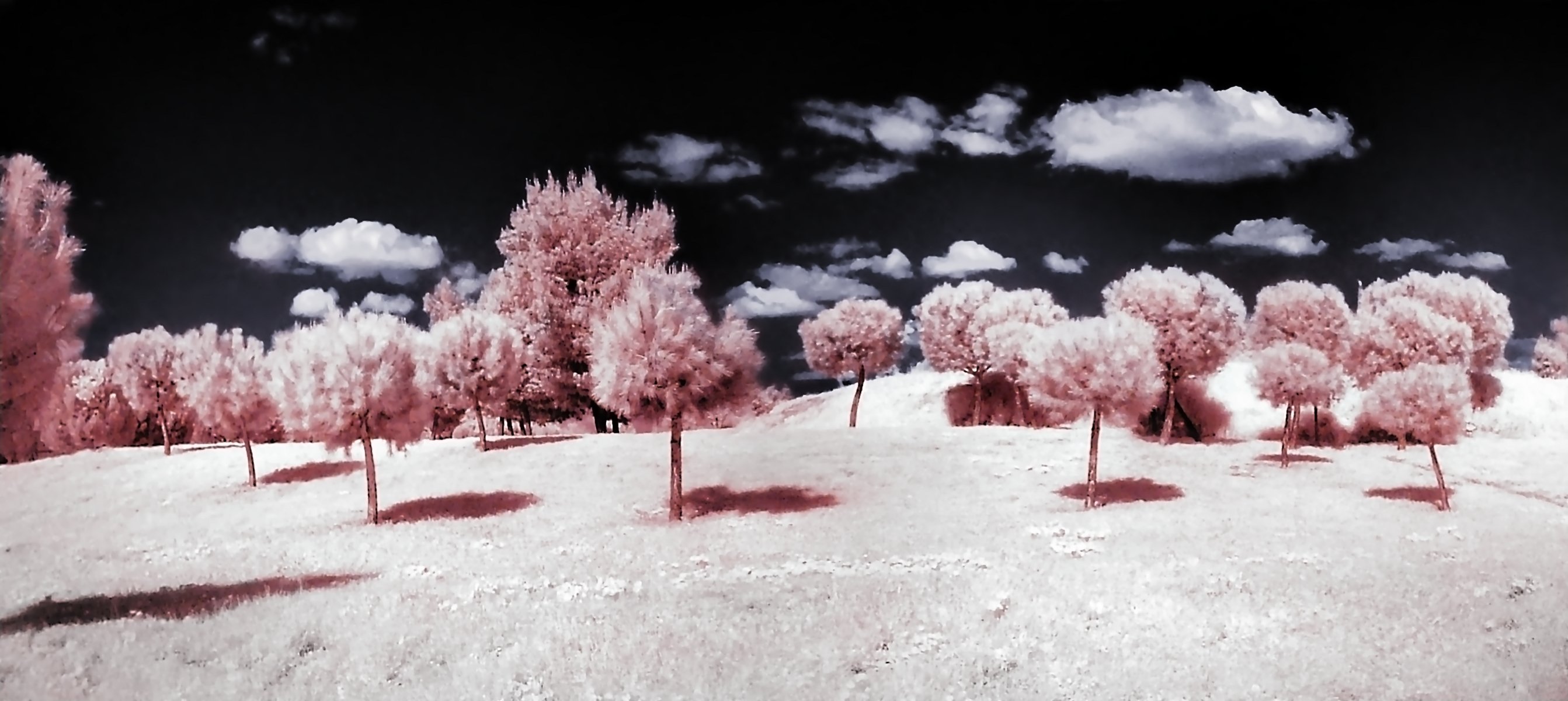 Photography Infrared HD Wallpaper