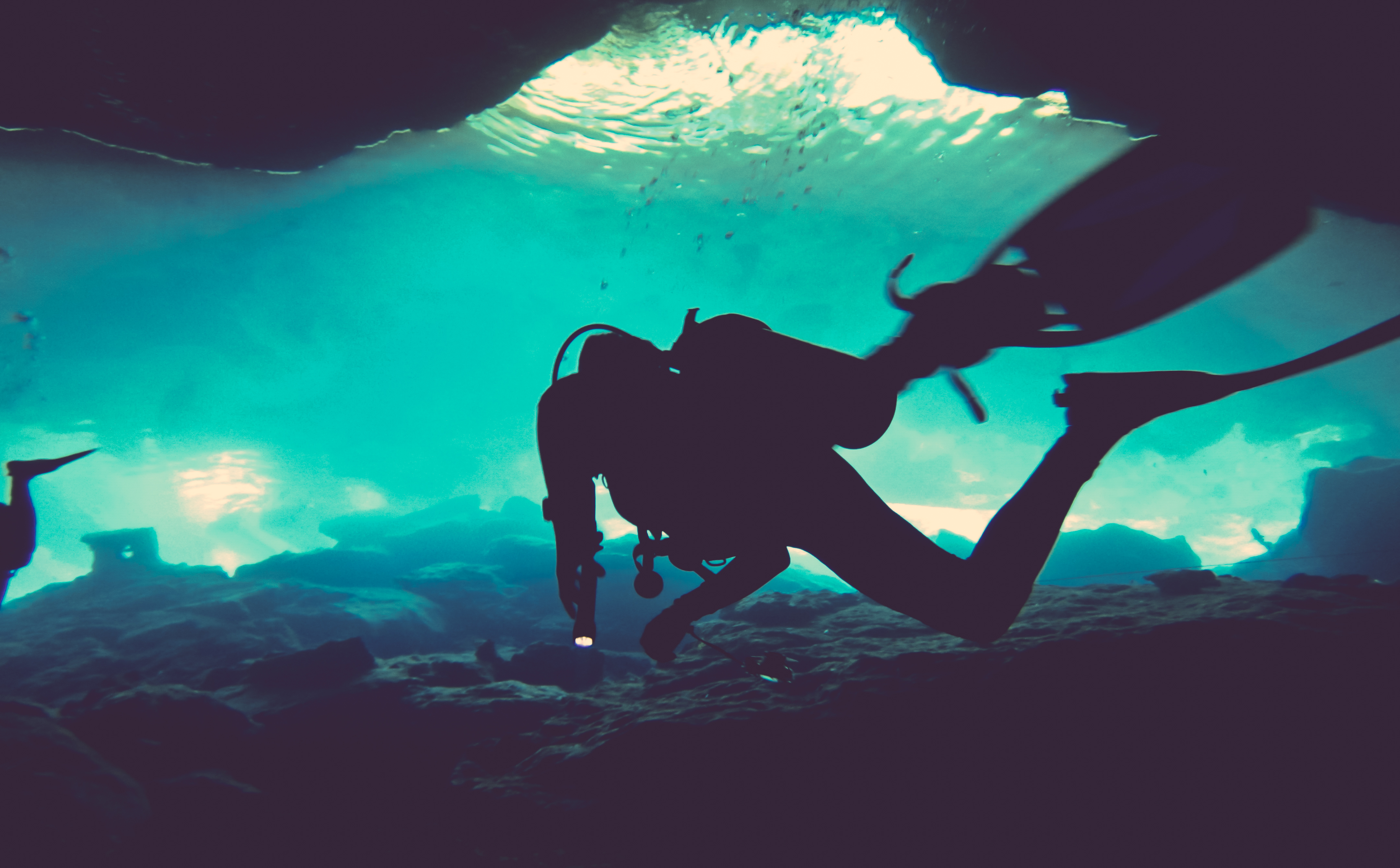 Scuba Diving Wallpapers  Top Free Scuba Diving Backgrounds   WallpaperAccess