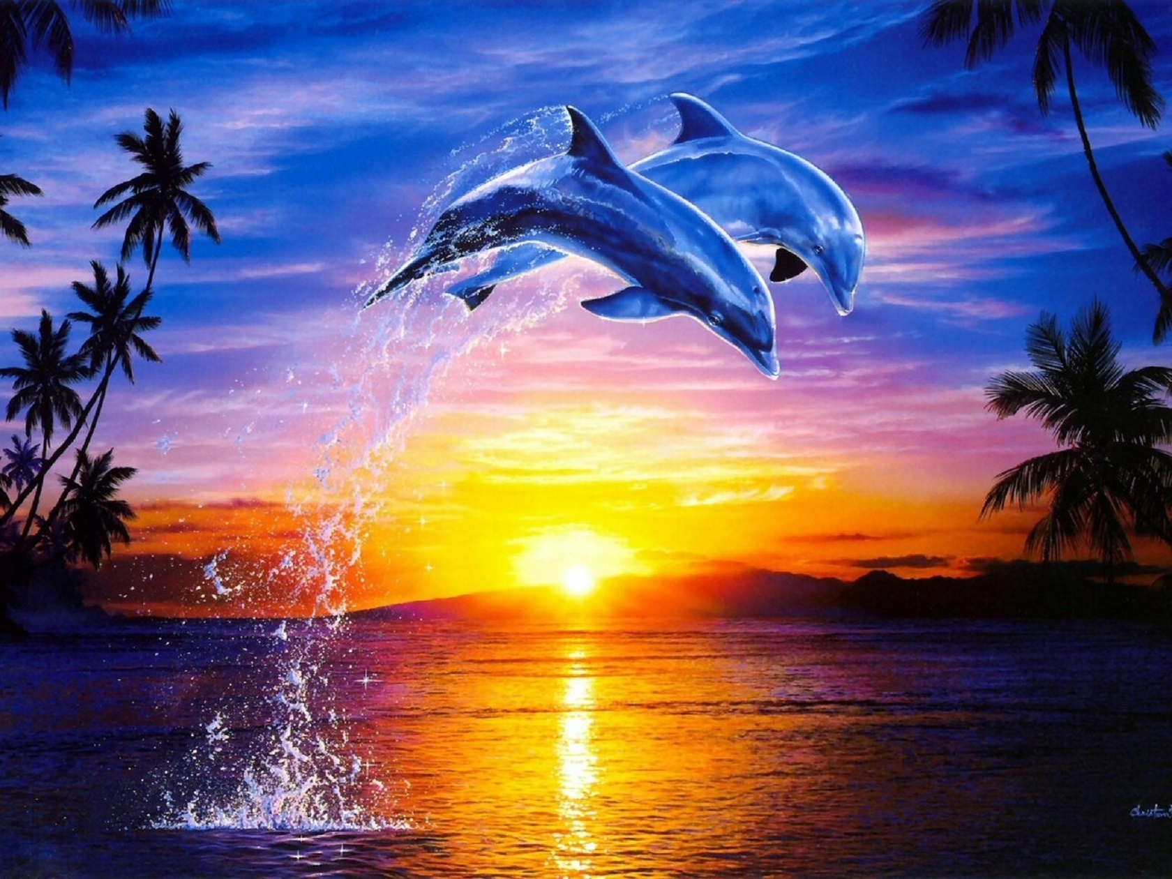 Delfine Hintergrundbilder Hd Kostenlos - vrogue.co