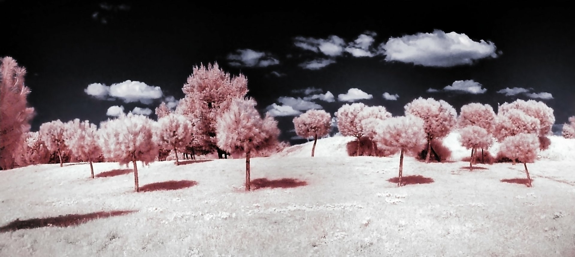 Download Photography Infrared HD Wallpaper