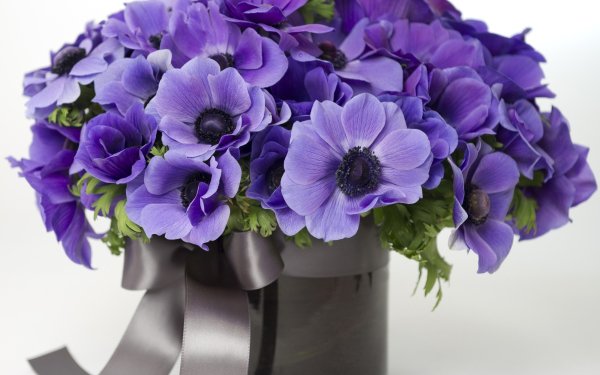 Man Made Flower Anemone Vase Bouquet Ribbon Purple Flower Violet HD Wallpaper | Background Image