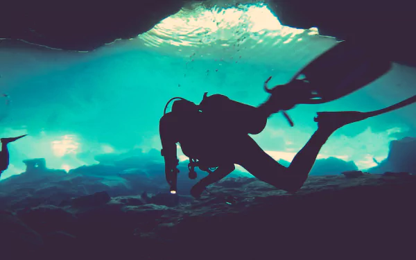 scuba diver scuba diving Sports HD Desktop Wallpaper | Background Image