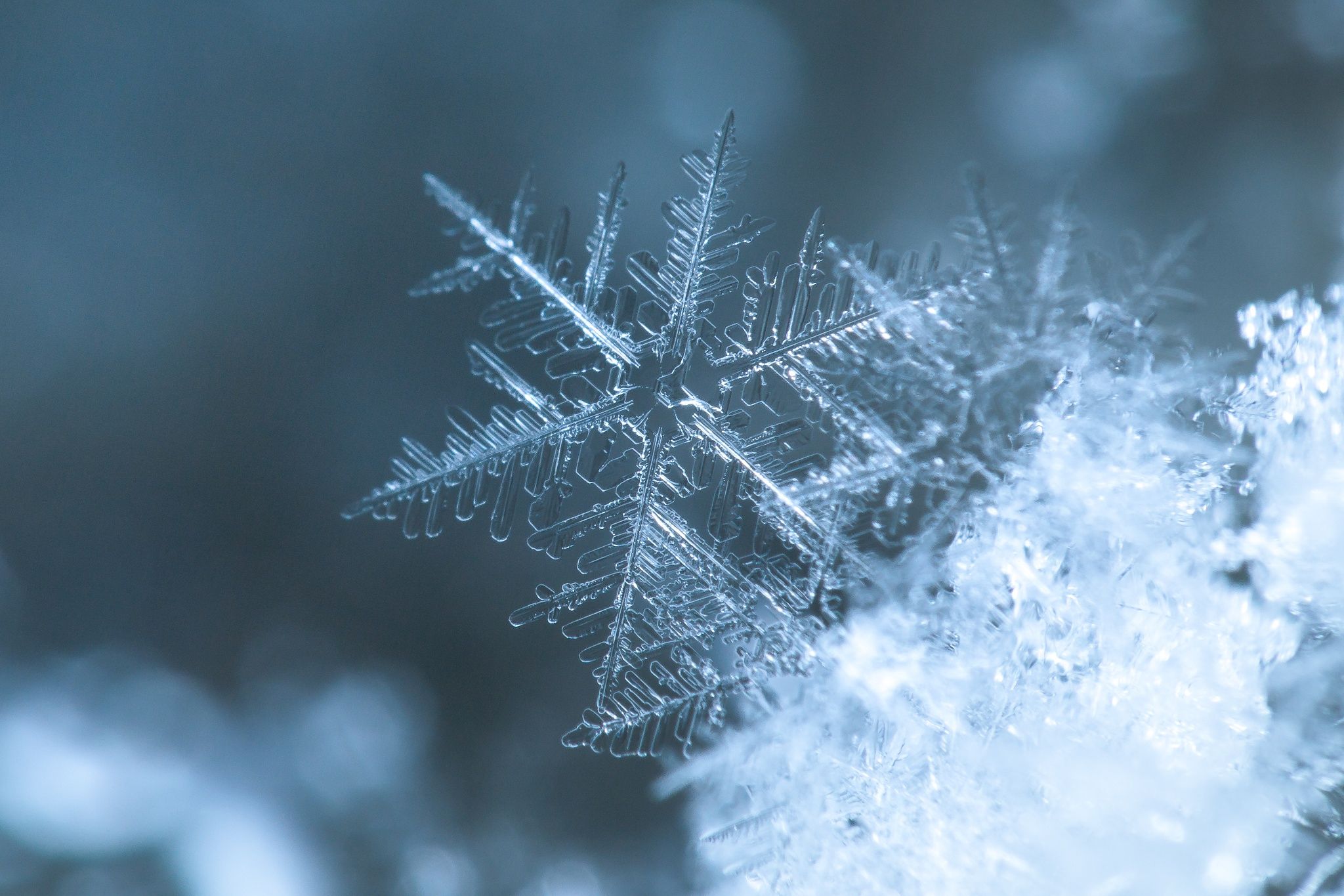 Earth Snowflake HD Wallpaper | Background Image