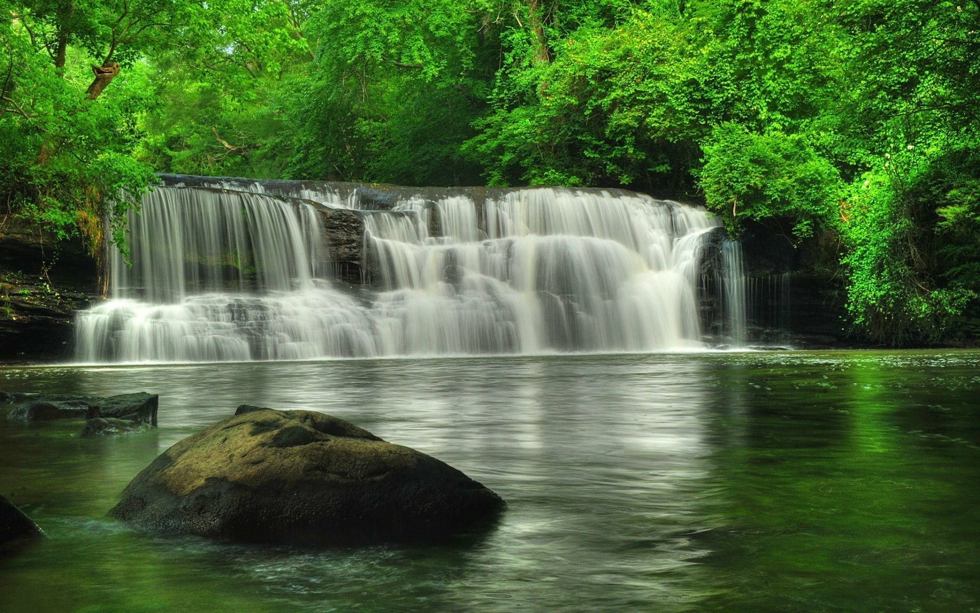 Download Tree Green Forest Nature Waterfall Hd Wallpaper