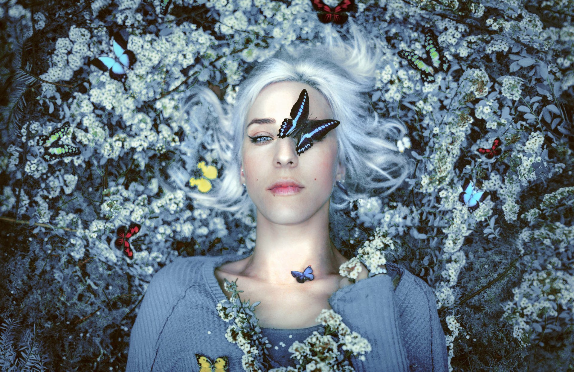 A woman with white hair lies among white flowers with colorful butterflies resting on her face and chest, creating a serene and dreamy mood in this HD desktop wallpaper.