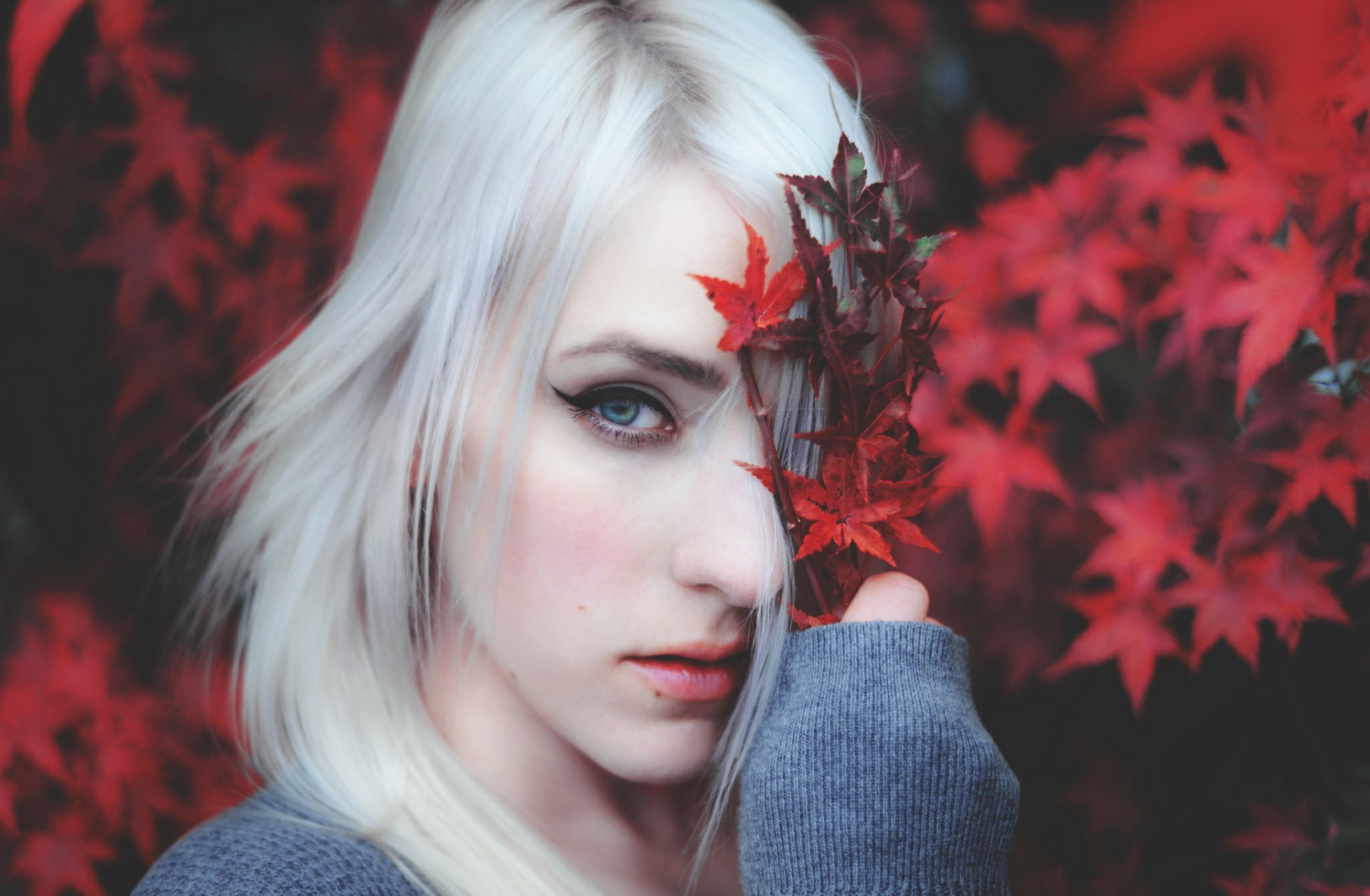 A close-up HD desktop wallpaper of a woman with white hair holding red autumn leaves partially covering her face, set against a bokeh background of vibrant red leaves.
