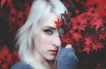 A close-up HD desktop wallpaper of a woman with white hair holding red autumn leaves partially covering her face, set against a bokeh background of vibrant red leaves.