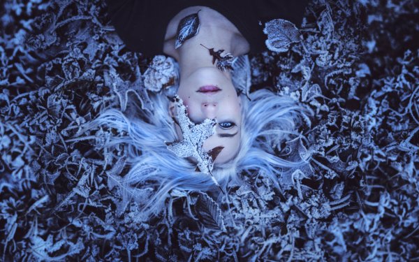 Women Mood Model White Hair Lying Down Frozen Blue Eyes Leaf HD Wallpaper | Background Image