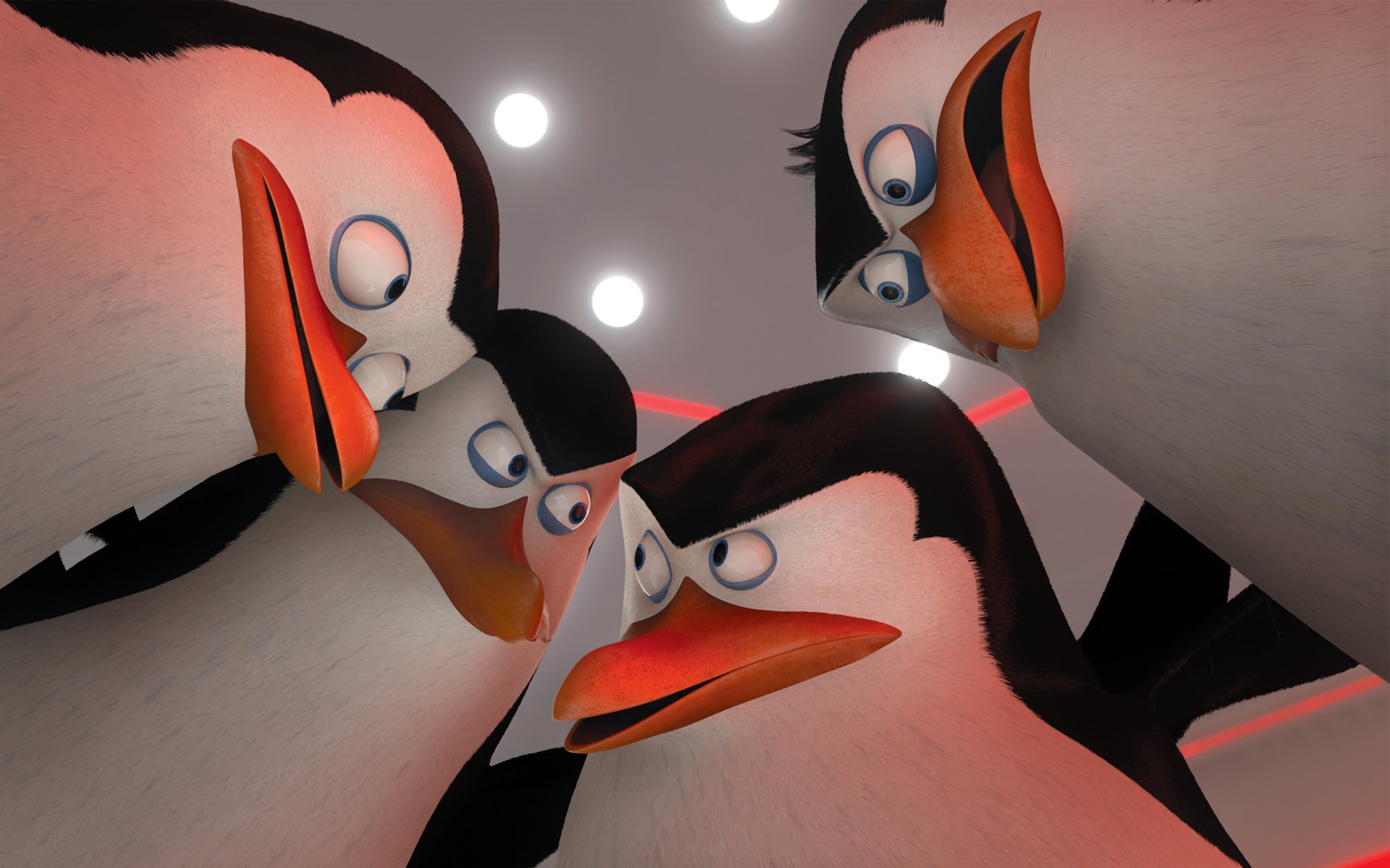 Close-up of the four Penguins of Madagascar huddled in a circle, animated faces lit dramatically — 2K Quad HD PC desktop wallpaper and background.