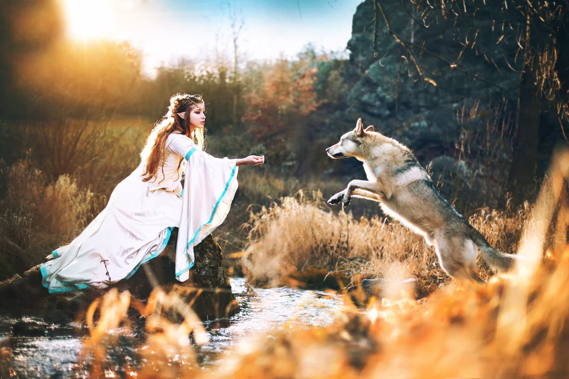 A brunette woman in an elf-inspired cosplay reaches out to a leaping wolf by a stream, capturing a magical moment in nature's golden light.