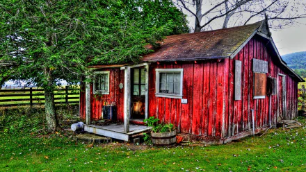 HDR image of a weathered red wooden shack beside a large tree, set in a grassy yard with a fence in the background, captured as a high-definition PC desktop wallpaper.