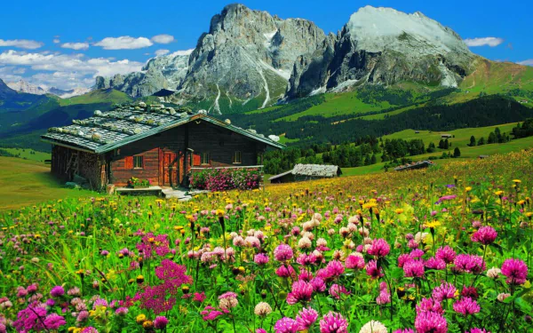 A vibrant landscape photograph of a green field filled with wildflowers and grass, featuring a rustic house set against towering mountains under a clear blue sky.