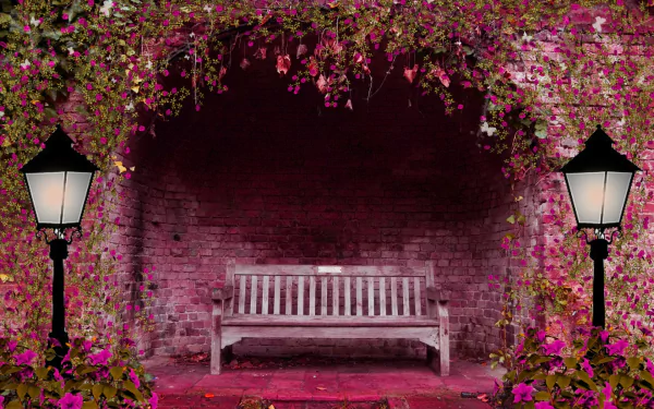 A vibrant HD desktop wallpaper featuring a garden bench under an arch of pink flowers, flanked by two artistic black lamp posts with glowing street lights and green leaves.