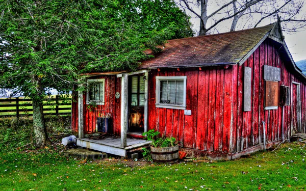 HDR image of a weathered red wooden shack beside a large tree, set in a grassy yard with a fence in the background, captured as a high-definition PC desktop wallpaper.