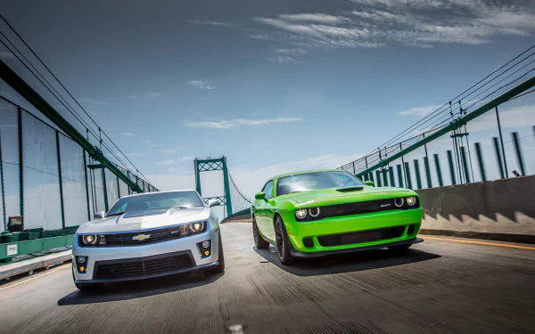  Car Race