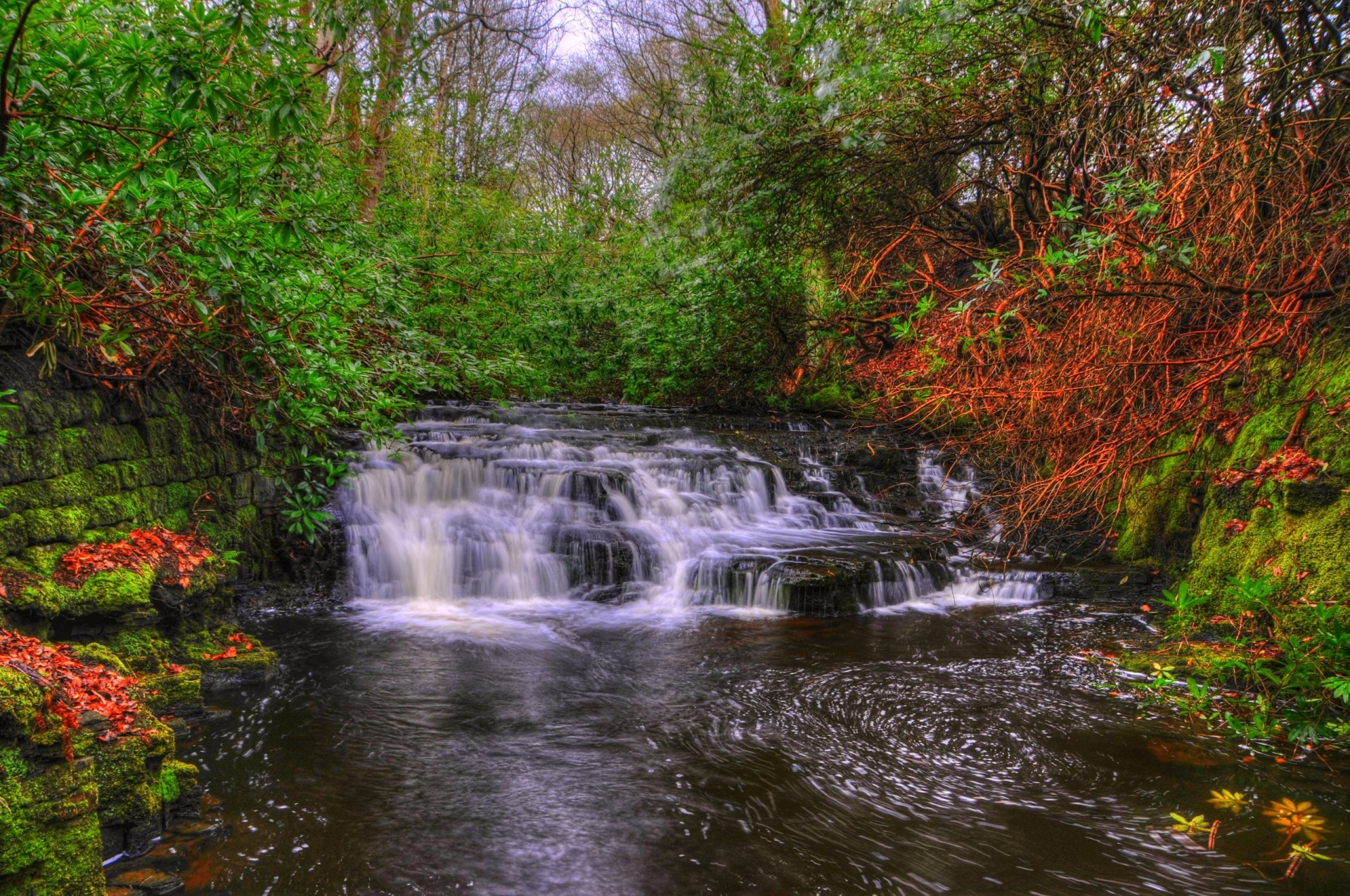 Download Tree Forest Fall England Upper Anglezark Nature Waterfall  HD Wallpaper