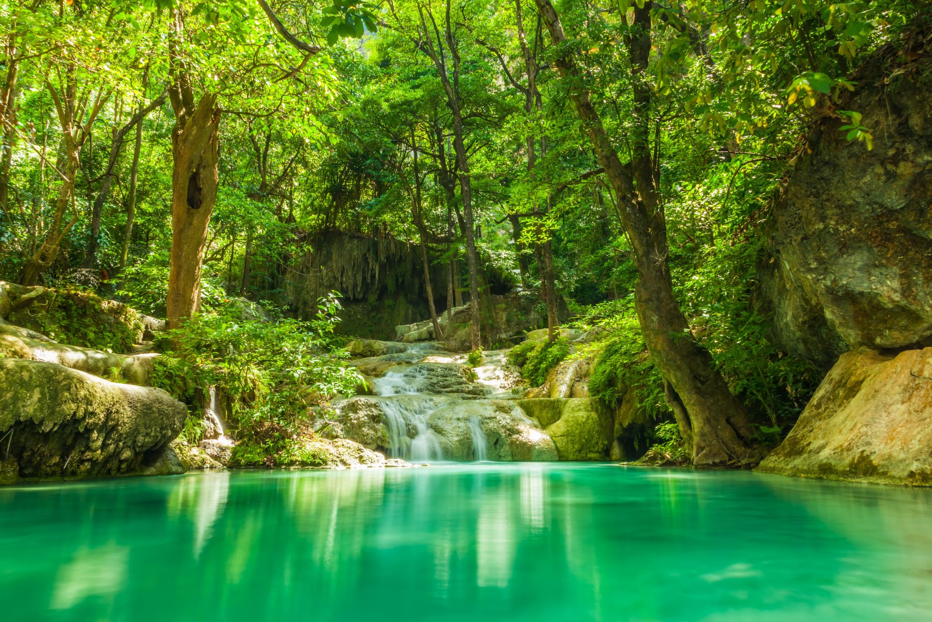 Download Greenery Nature Tree Lake Waterfall 4k Ultra HD Wallpaper