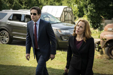 Gillian Anderson Dana Scully David Duchovny Fox Mulder TV Show The X-Files HD Desktop Wallpaper | Background Image