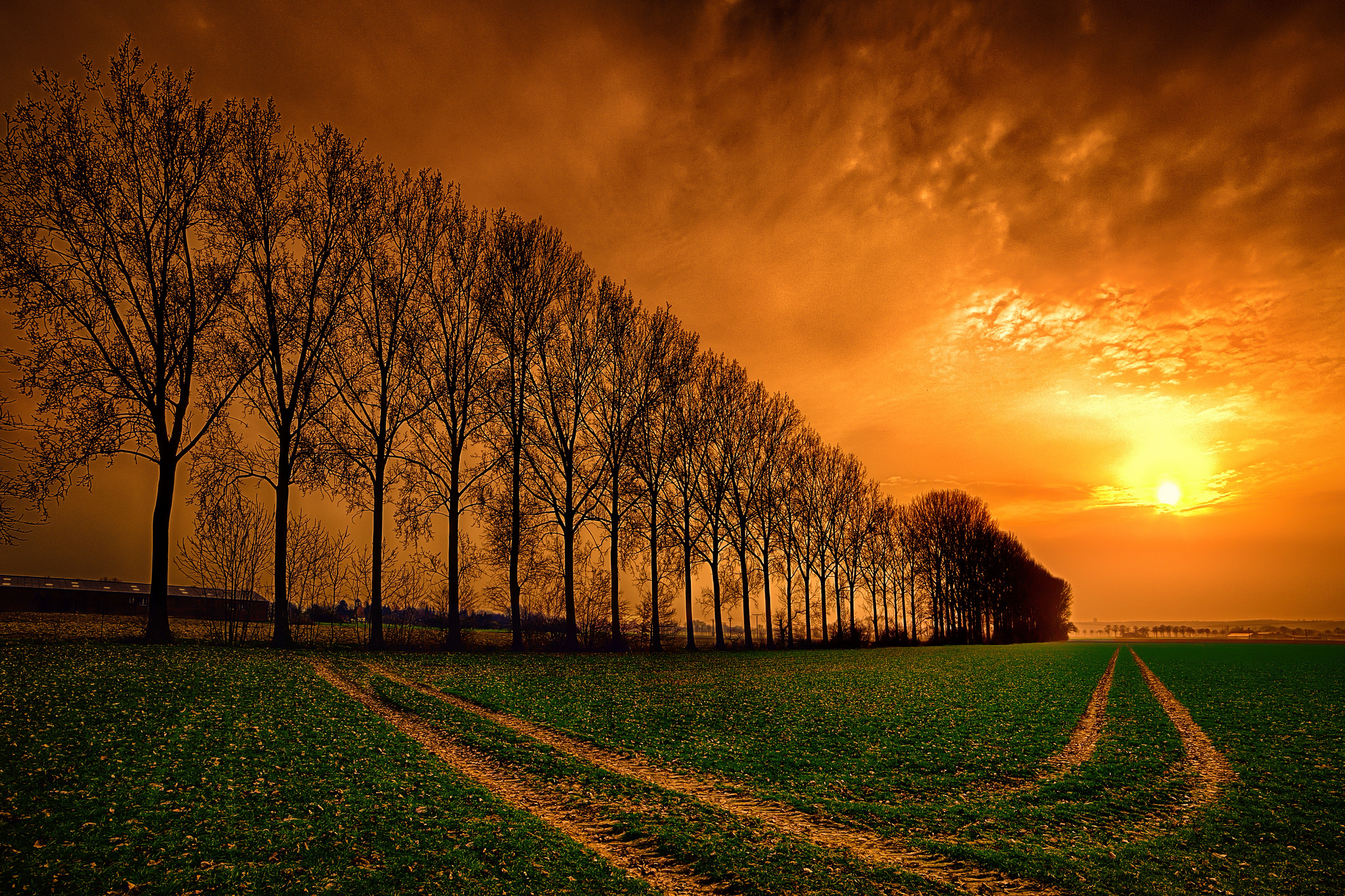 Sunset over Trees in Park HD Wallpaper | Background Image | 2048x1364