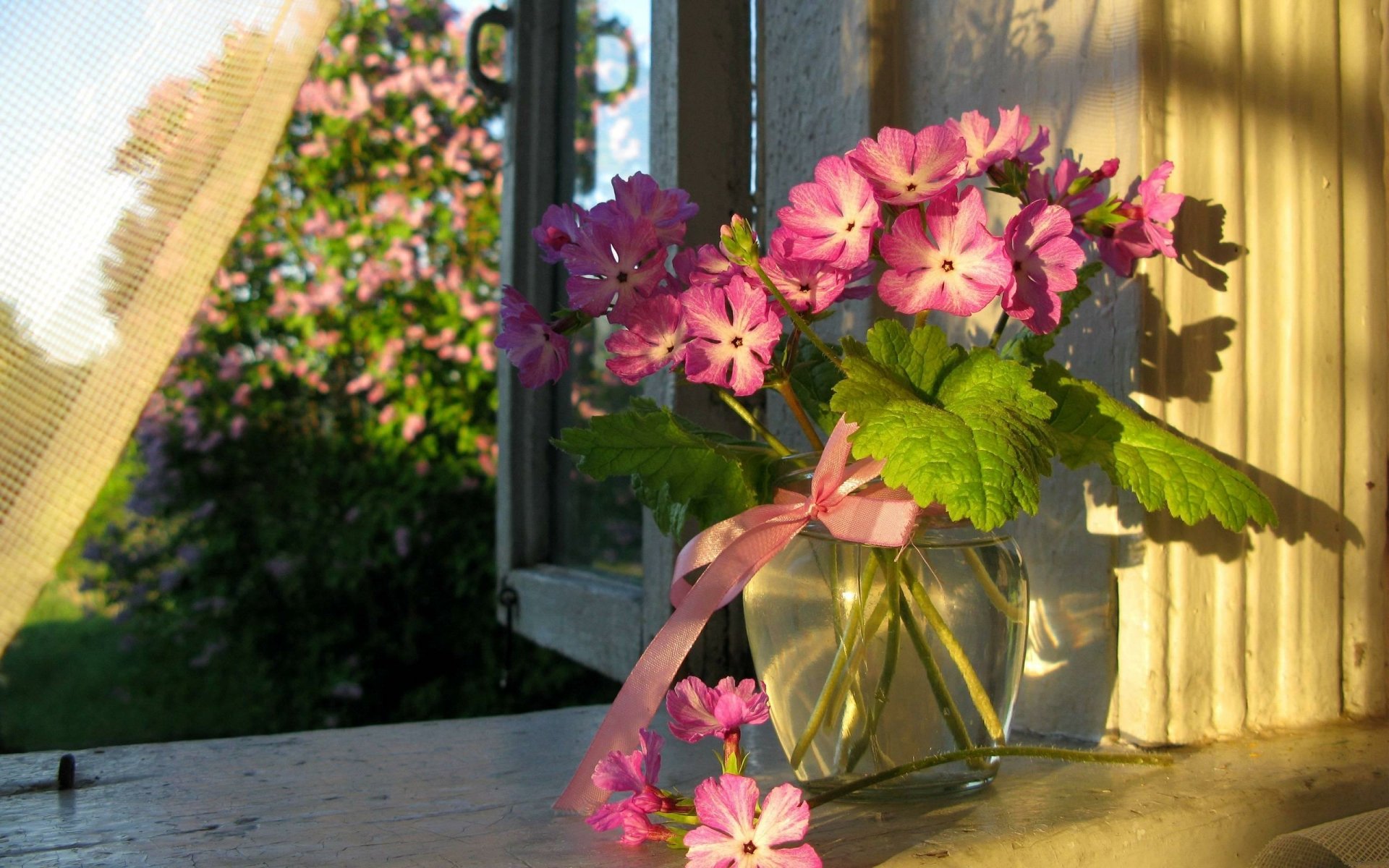 2K Quad HD PC desktop wallpaper: pink flowers in a glass vase tied with a ribbon on a sunlit windowsill, man-made vase against a soft outdoor background.