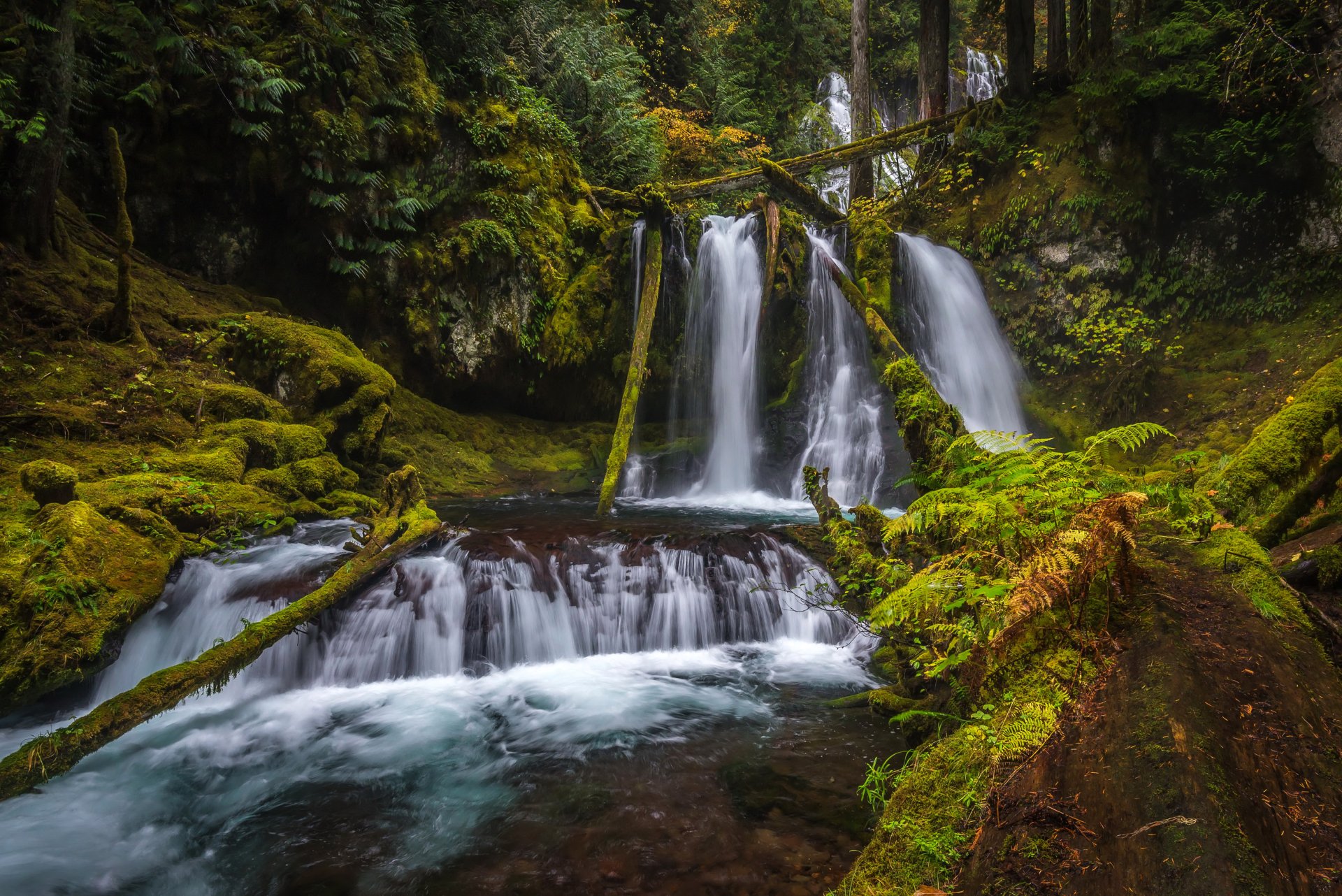 Emerald Forest Waterfall — 4K Ultra HD Wallpaper | 4200x2804 ...