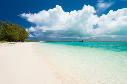 Turquoise waters and white sandy beach under a bright sky in Turks and Caicos, showcasing tropical nature in stunning 4K Ultra HD.