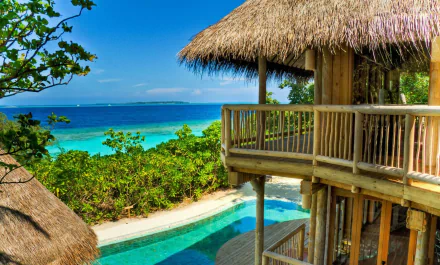 A tropical resort hut perched among trees overlooking the vibrant blue ocean in the Maldives, captured in HD for a serene PC desktop wallpaper.