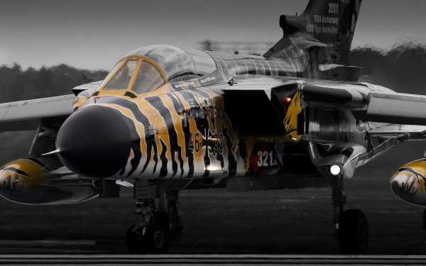 Military Panavia Tornado Jet Fighters Jet Fighter Aircraft Warplane HD Wallpaper | Background Image