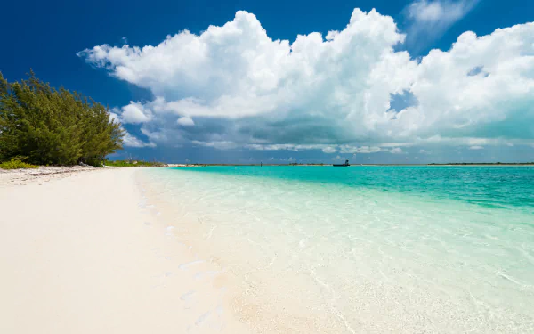 Turquoise waters and white sandy beach under a bright sky in Turks and Caicos, showcasing tropical nature in stunning 4K Ultra HD.