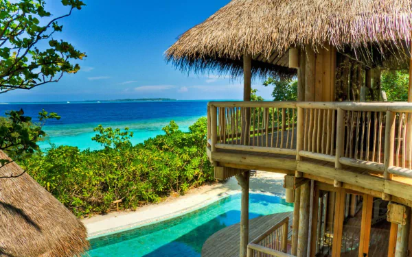 A tropical resort hut perched among trees overlooking the vibrant blue ocean in the Maldives, captured in HD for a serene PC desktop wallpaper.
