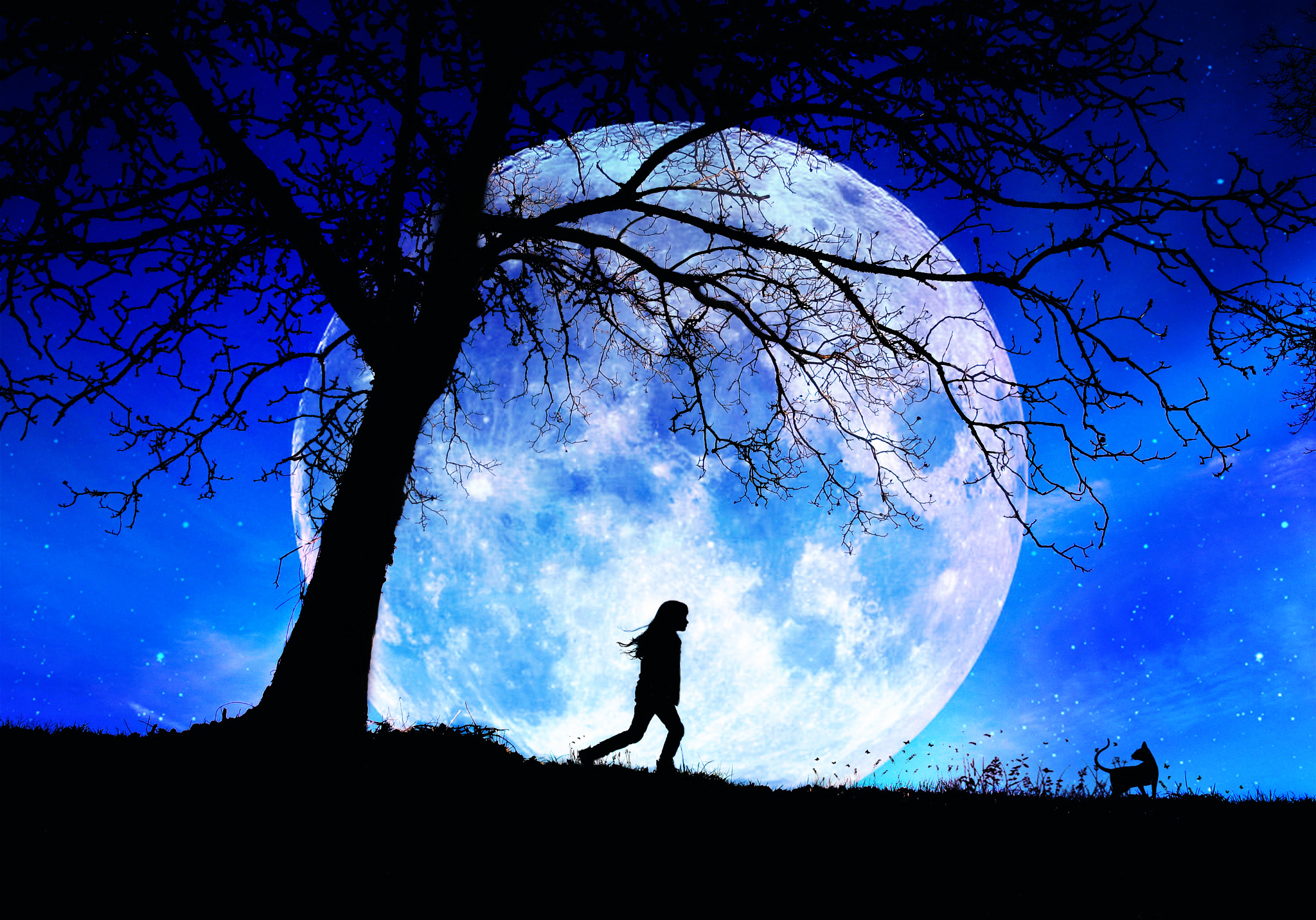 Artistic Moon HD Wallpaper | Background Image