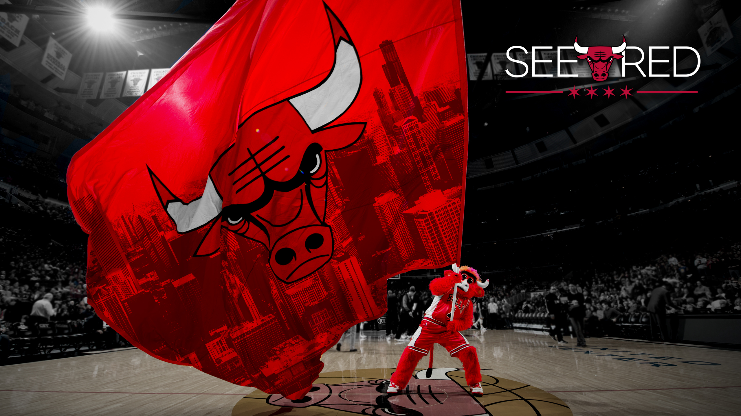 HD desktop wallpaper featuring the Chicago Bulls logo with a SEE RED slogan, within a basketball arena setting.